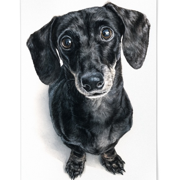 Watercolor Black Dachshund Dog Portrait Art Print – Unframed Fine Art Poster - Picture 2 of 5